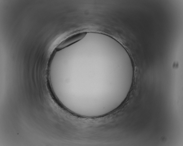 X0000110690007200906261355