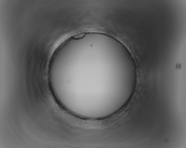 X0000110690008200906261355