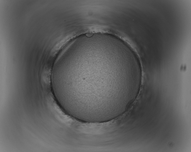 X0000110690009200906261355