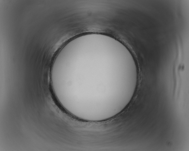 X0000110690011200906261355