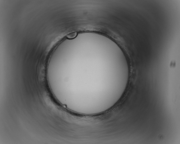 X0000110690012200906261355