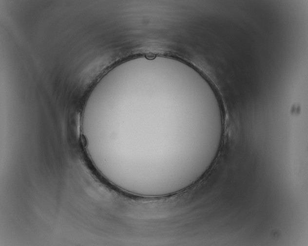 X0000110690013200906261355