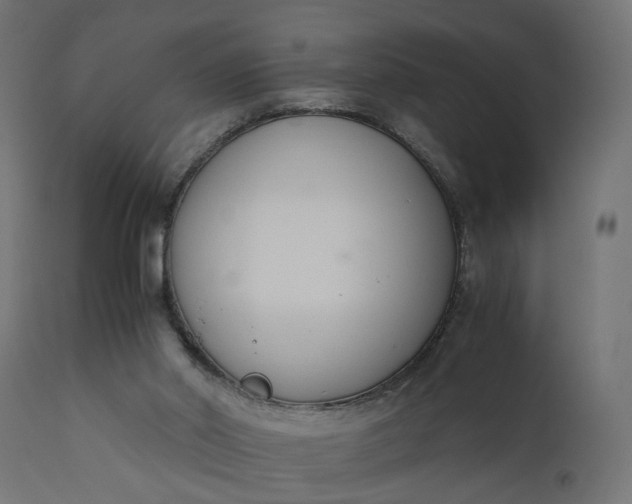 X0000110690014200906261355