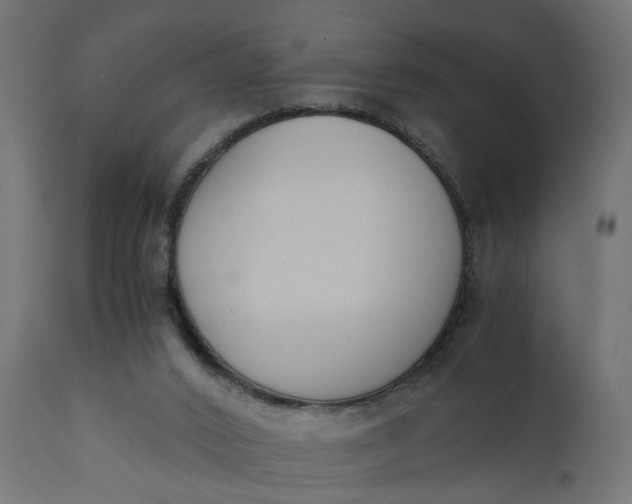 X0000110690016200906261355