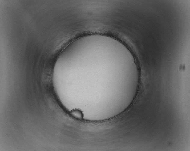 X0000110690017200906261355