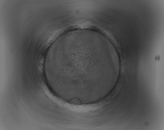 X0000110690018200906261355