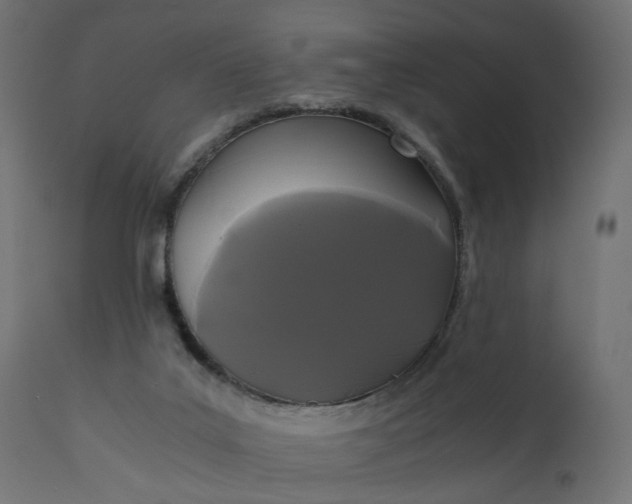 X0000110690019200906261355