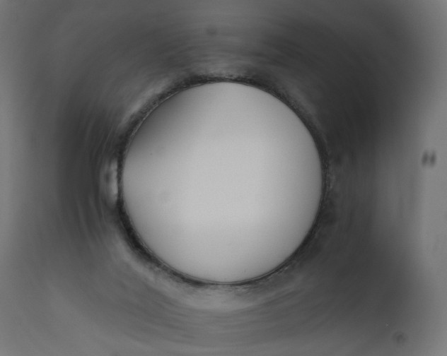 X0000110690020200906261354