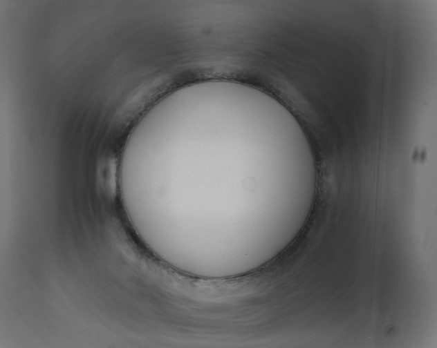 X0000110690022200906261354