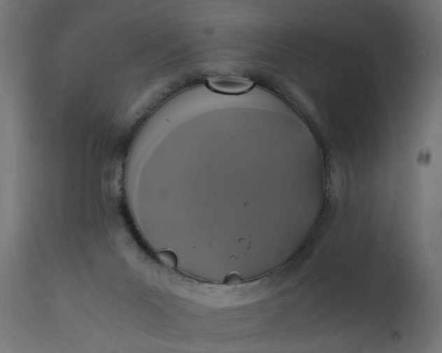 X0000110690023200906261354