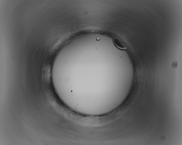 X0000110690024200906261354