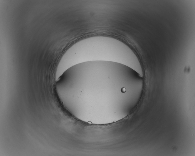 X0000110690025200906261354