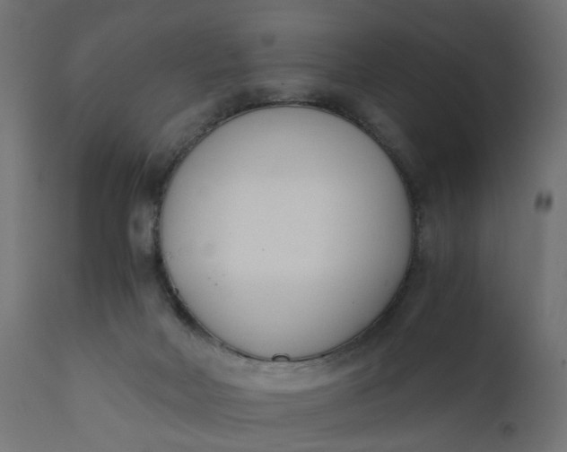 X0000110690026200906261354