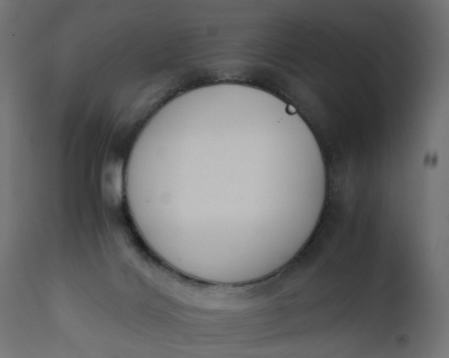 X0000110690028200906261354