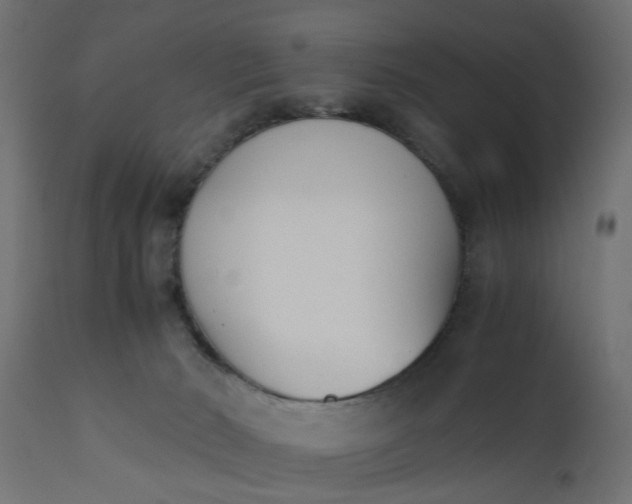 X0000110690030200906261354