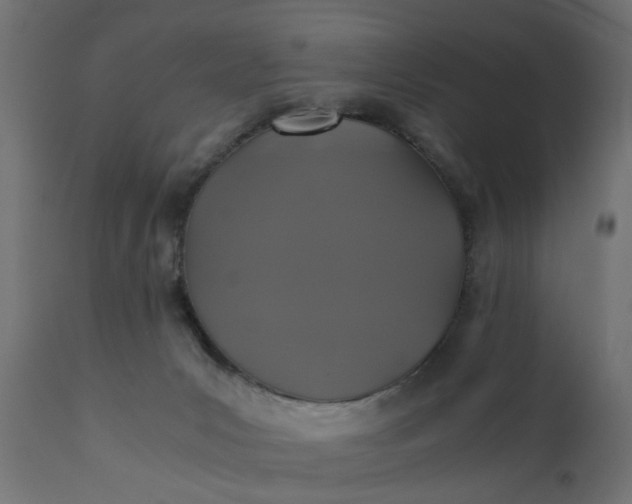 X0000110690031200906261354