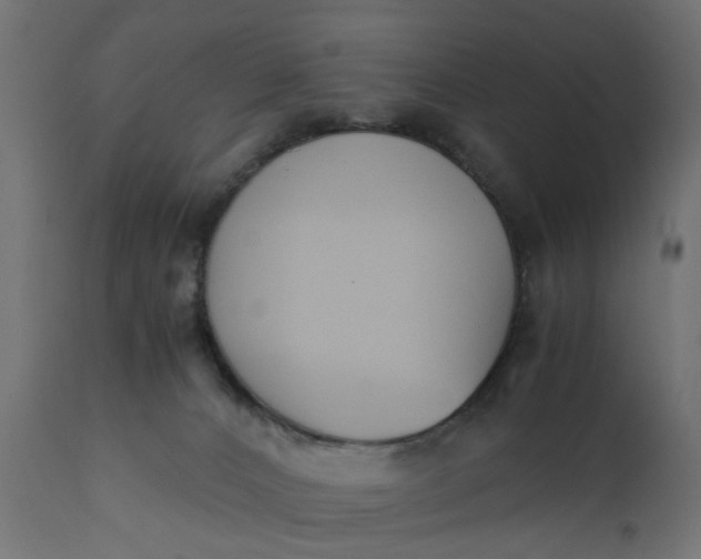 X0000110690032200906261354