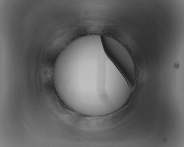 X0000110690033200906261354