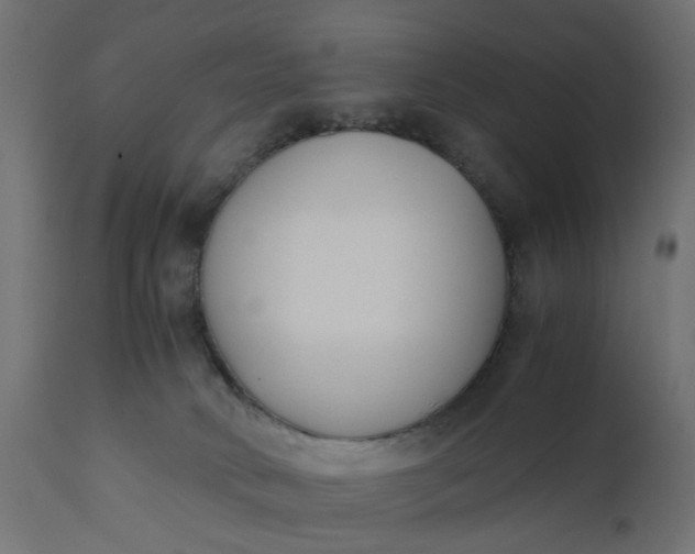 X0000110690034200906261354