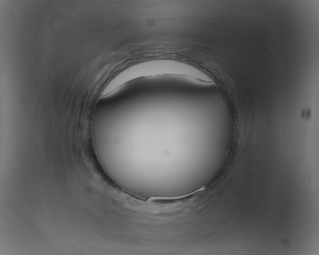 X0000110690035200906261354