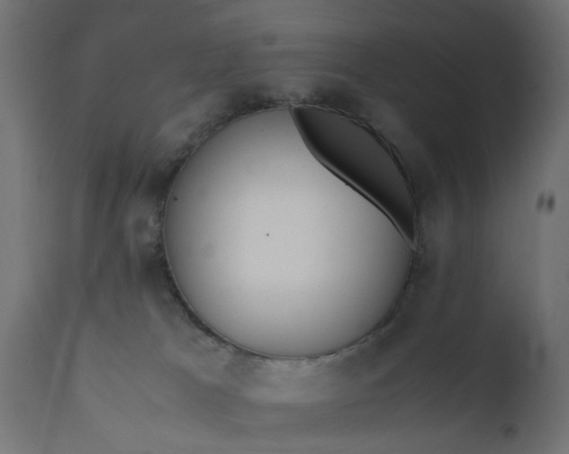 X0000110690037200906261354