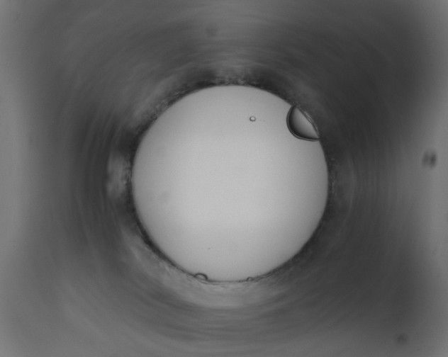 X0000110690038200906261354