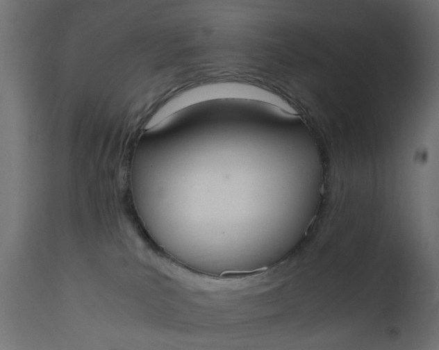 X0000110690039200906261354