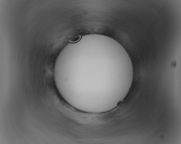 X0000110690040200906261354