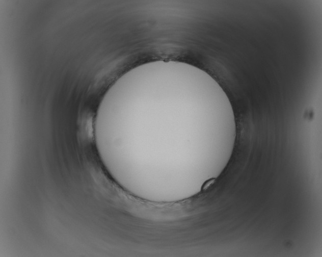 X0000110690042200906261354