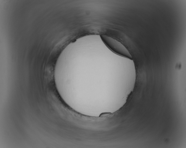 X0000110690043200906261354