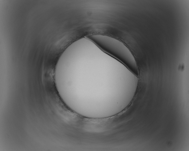 X0000110690045200906261354