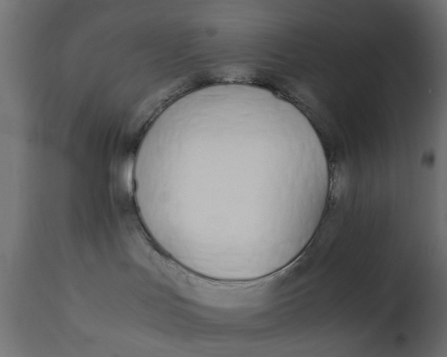 X0000110690047200906261354