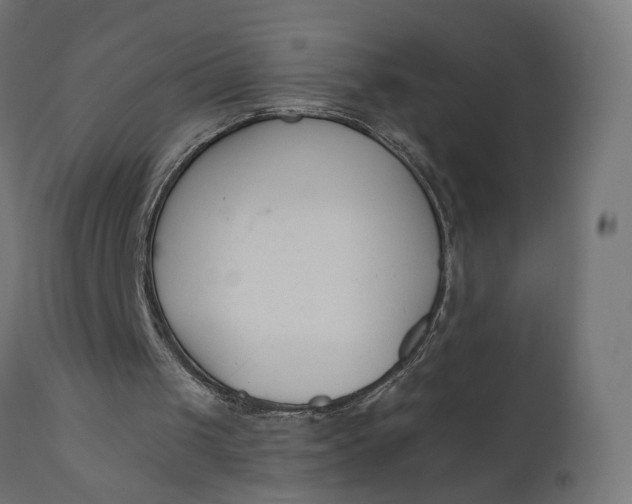 X0000110690049200906261353