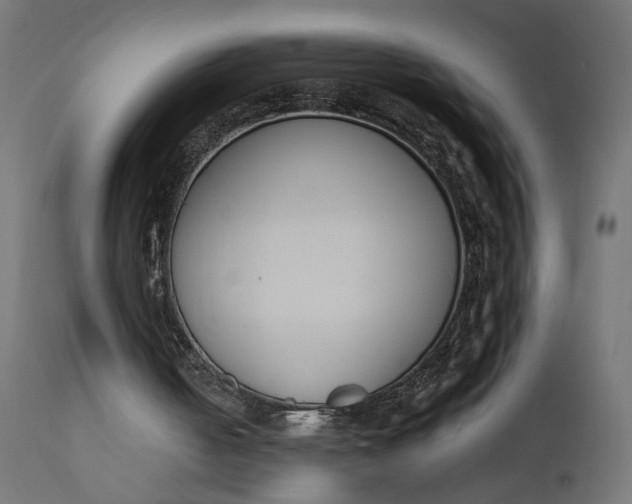 X0000110690050200906261353