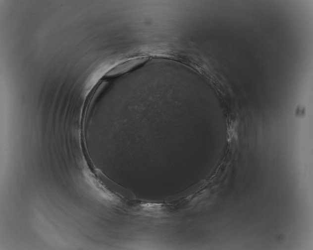 X0000110690052200906261353