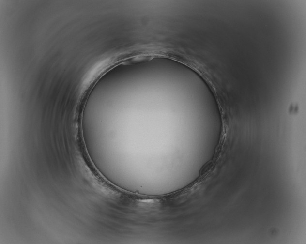 X0000110690053200906261353