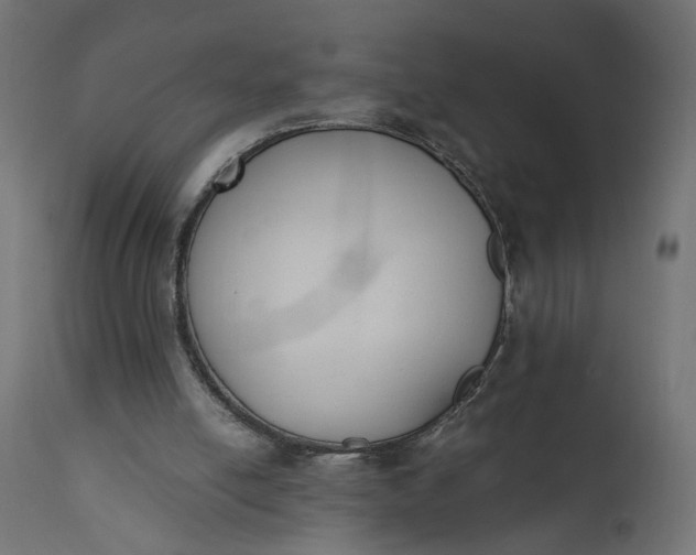 X0000110690054200906261353