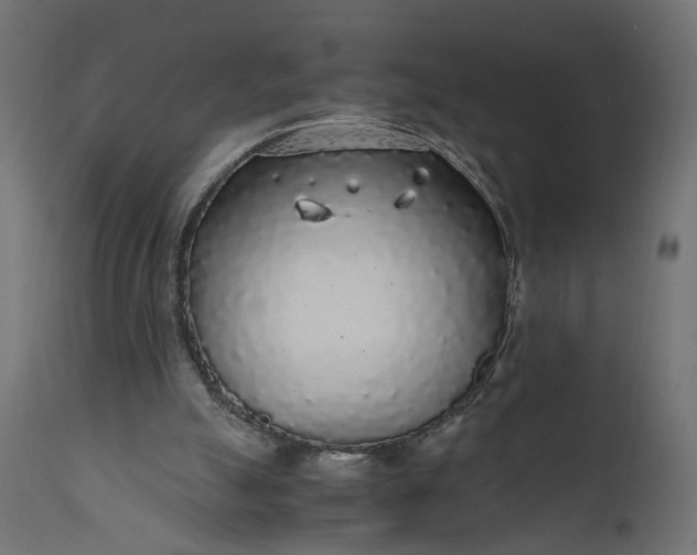 X0000110690055200906261353