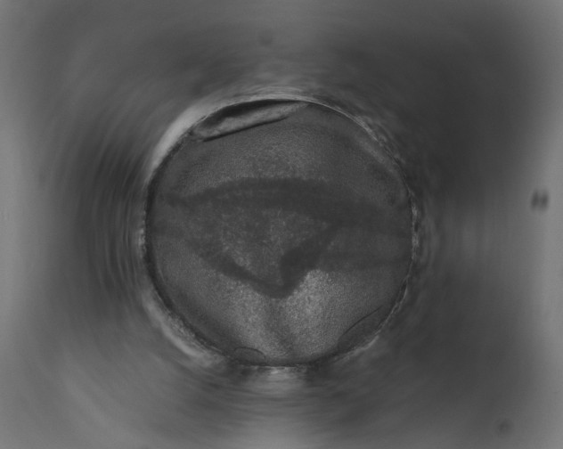 X0000110690056200906261353