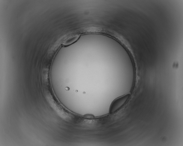 X0000110690057200906261353