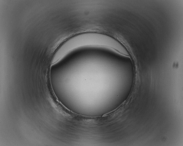 X0000110690058200906261353