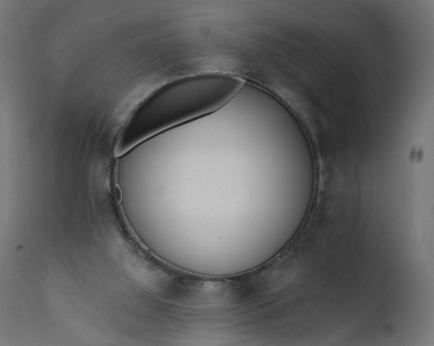 X0000110690060200906261353