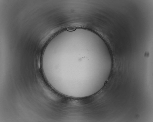 X0000110690062200906261353