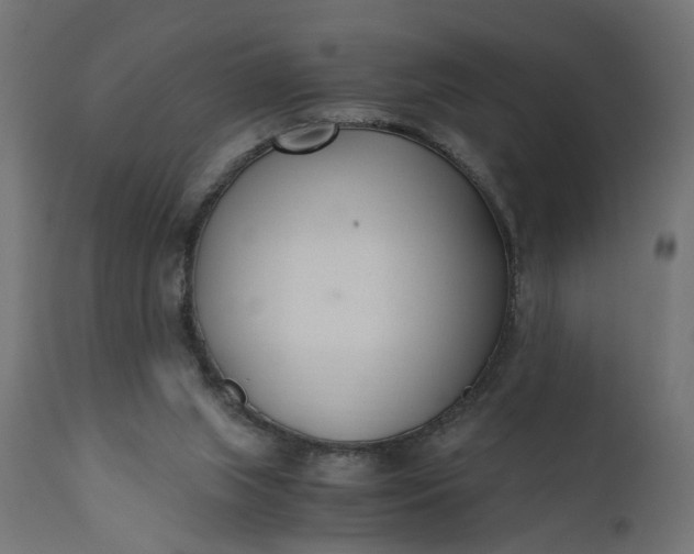 X0000110690063200906261353