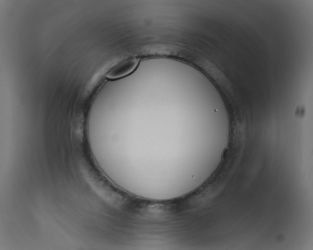 X0000110690064200906261353