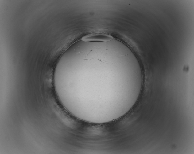 X0000110690065200906261353