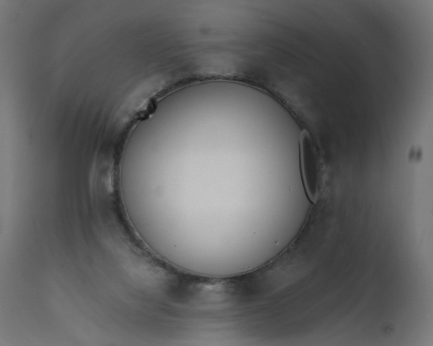 X0000110690068200906261354