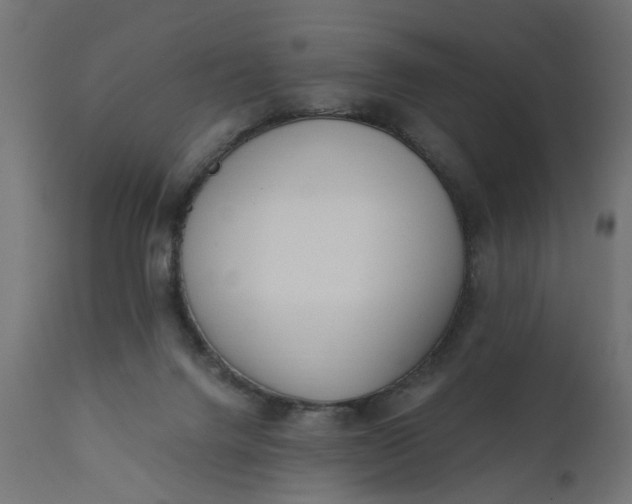 X0000110690072200906261354