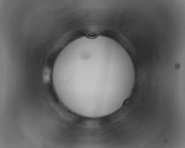 X0000110690075200906261354