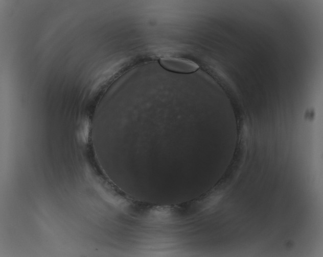 X0000110690076200906261354